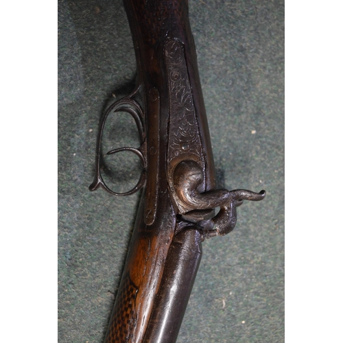 345 - Double barreled muzzle loading pinfire shotgun with ornate carving to butt in the shape of two lion ... 