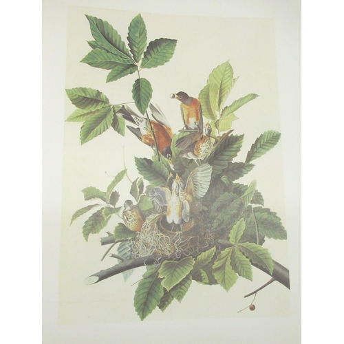 1365 - The Original Water-Color Paintings by John James Audubon for 'The Birds of America' American Heritag... 