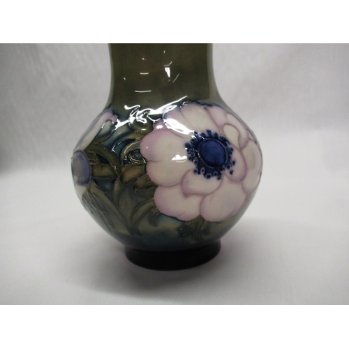 288 - Moorcroft baluster vase decorated in white and blue Anemone pattern on a green ground, impressed mar... 