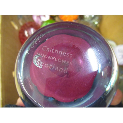 268 - Large collection of assorted glass paperweights, including one by Langham and another by Caithness (... 