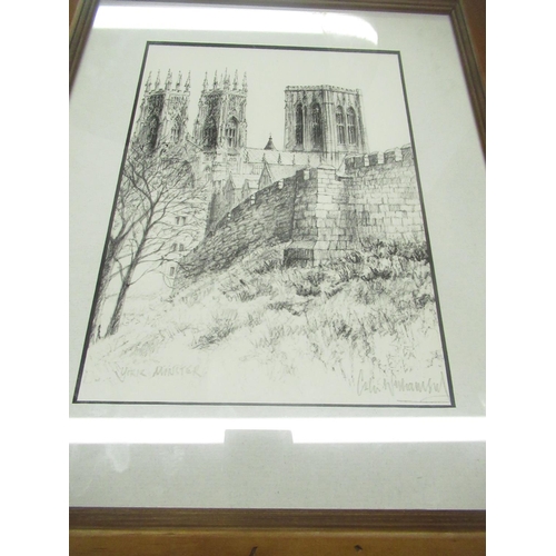 422 - Collection of pictures and mirrors including a pen sketch of York Minster by Colin Wurhamsul, board ... 