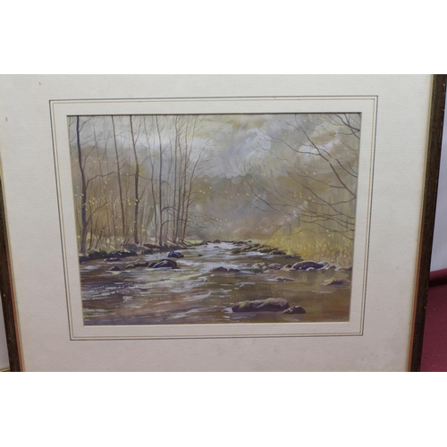 459 - David Keith (British C20th): Woodland stream, watercolour, signed, 22cm x 28cm, and English School (... 