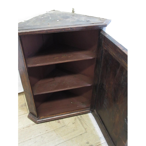 1541 - Small Geo. III oak corner cupboard, fielded panel door with brass H hinges enclosing two shelves, wi... 