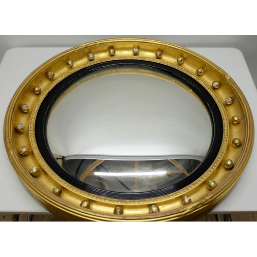 1553 - Regency style gilt wood wall mirror, circular convex plate in ebonised reeded slip and ball decorate... 