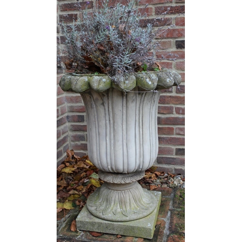 1594 - Beal House Collection - Pair of composite tulip shaped garden urns, on acanthus moulded square bases... 