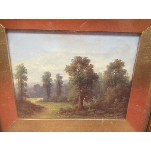 1259 - English School (late C19th): Wooded river landscape and a wooded pathway, pair of oils on canvas, si... 