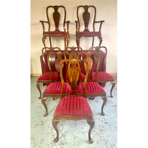 1551 - Set of eight Queen Anne style walnut dining chairs, with fan carved top rails and solid vase shaped ... 