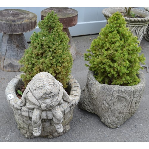 158 - Pair of constitute stone planters, one tree stump and the other Humpty Dumpty, both planted with Sco... 