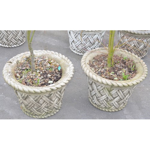162 - Pair of large reconstituted planters with lattice design and rope edging, (planted up) W21
