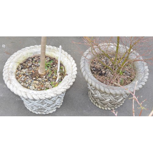 163 - Pair of large reconstituted planters with lattice design and rope edging, (planted up) W21