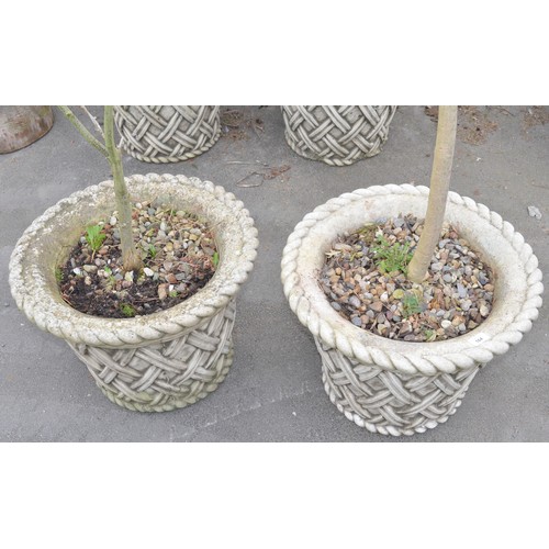 164 - Pair of large reconstituted planters with lattice design and rope edging, (planted up) W21