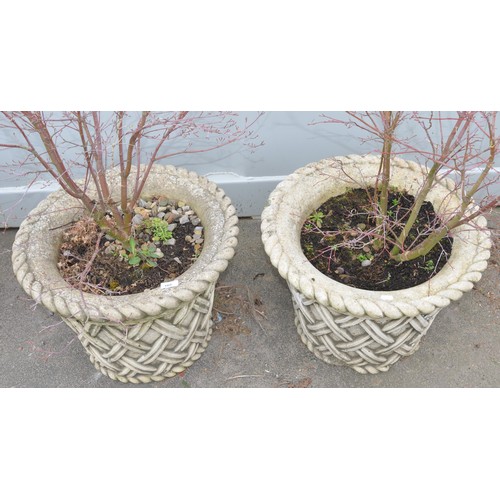 165 - Pair of large reconstituted planters with lattice design and rope edging, (planted up) W21