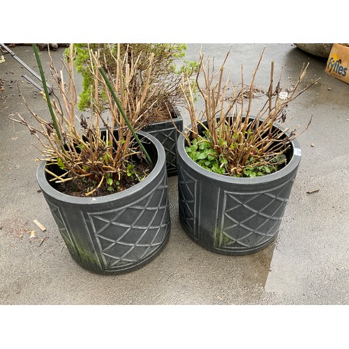 67 - Three plastic planters with lattice design (planted up)