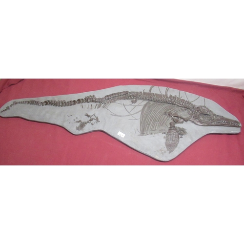 80 - Resin replica of an Ichthyosaur Breviceps