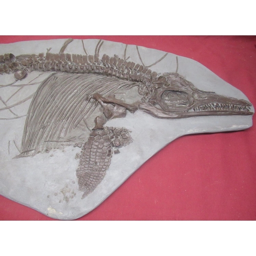 80 - Resin replica of an Ichthyosaur Breviceps