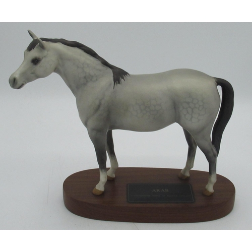 102 - Beswick of England Connoisseur model Arab stallion, on oval base