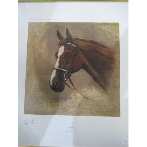 784 - Limited edition print No 417/495 of Aldaniti by Susie Whitcombe signed by Bob Champion