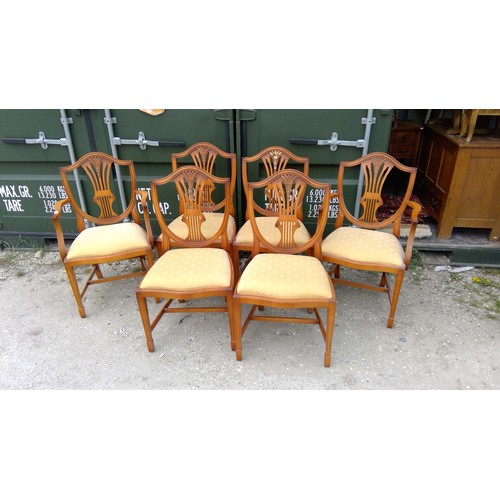 822 - Modern yew set of six (4 + 2) wheatsheaf dining chairs with drop in upholstered seats (7)