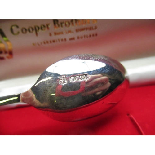55 - ERII hallmarked sterling silver teaspoon with gilded Prince of Wales Feather terminal in fitted case... 