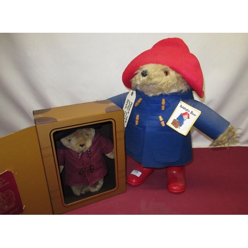 rainbow designs paddington bear