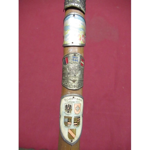 90 - Mid C20th Alpine type walking stick mounted with German/Austrian badges and crest badges incl two Ge... 