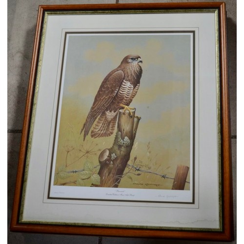 52 - Set of three framed and mounted limited edition David Andrews wild life prints including Peregrine, ... 