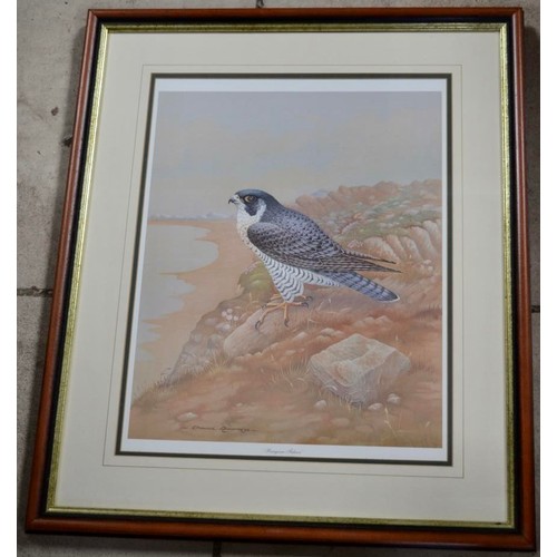 52 - Set of three framed and mounted limited edition David Andrews wild life prints including Peregrine, ... 