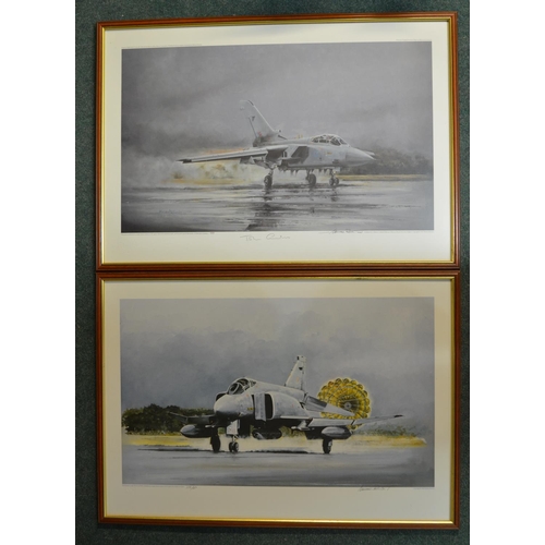 492 - 2 framed prints by Micheal Rondot.

