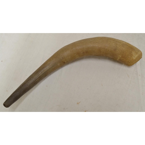 536 - Cow horn musical trumpet, approx L52cm