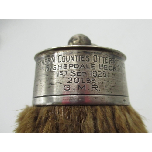 1283 - Silver mounted Otter tail pelt inscribed 'Northern Counties Otter Hounds, Bishopdale Beck, 1st Sep. ... 
