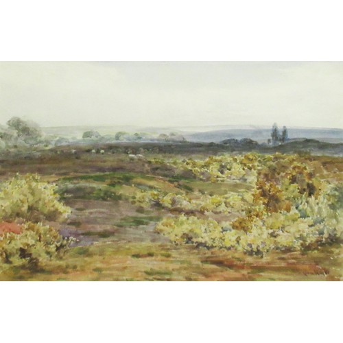 1370 - Claude Hayes (British, 1852-1922); 'On Wisley Common' watercolour, signed, 26cm x 38cm