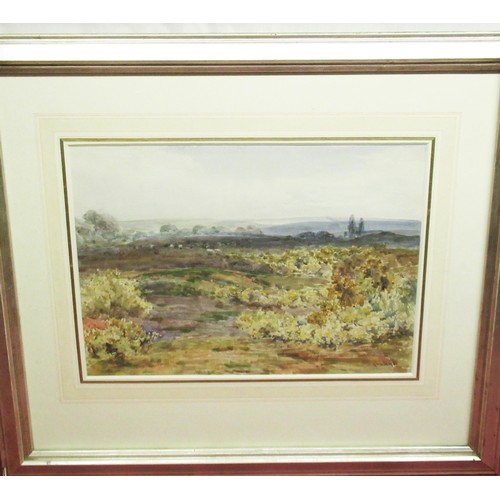 1370 - Claude Hayes (British, 1852-1922); 'On Wisley Common' watercolour, signed, 26cm x 38cm