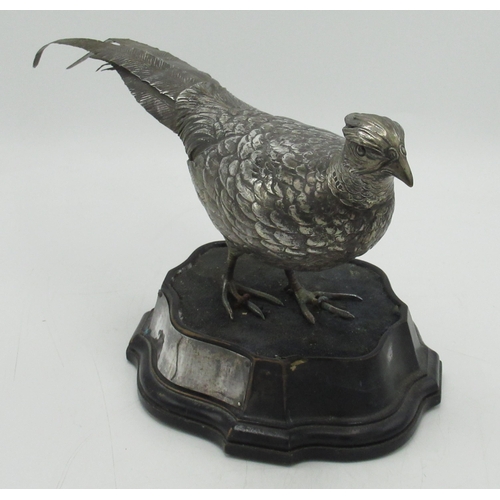 1162 - Edwardian Continental silver hallmarked model of a Cock pheasant with detachable head, import marks ... 