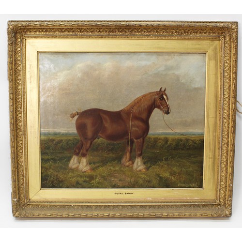 1346 - Albert Clarkson (British, late C19th/early C20th); 'Royal Sandy', signed and dated 1895, oil on canv... 