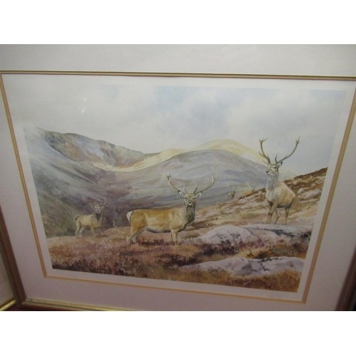 14 - Brian Rawling (British C20th); Highland Stags in a landscape. Ltd.ed colour print 92/300, signed in ... 