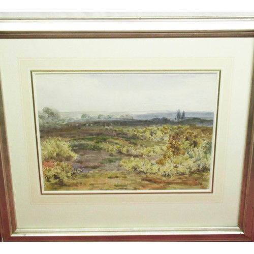 544 - Claude Hayes (British, 1852-1922); 'On Wisley Common' watercolour, signed, 26cm x 38cm