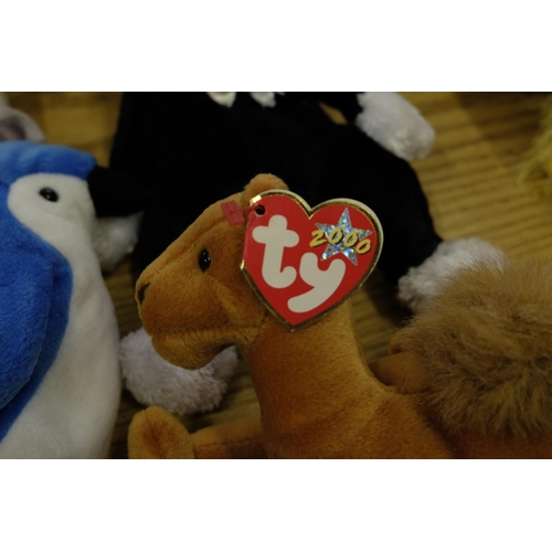 402 - Twenty one brooch collection, selection of Beanie Bear soft toys, including fish, birds, etc