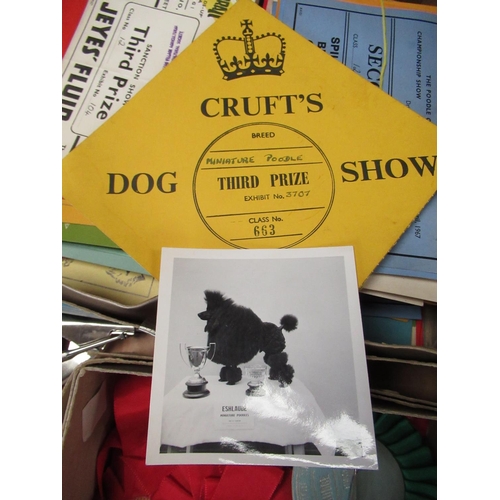 603 - Collection of 1960's Canine ephemera mainly relating to Eshlaude Miniature Poodles incl. Show progra... 