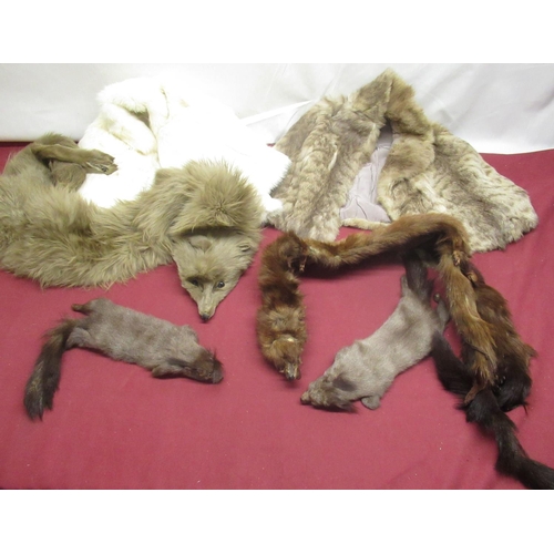 85 - Ann Widdecombe Collection - Collection of fur stoles inc. a fox and ferrets (8)