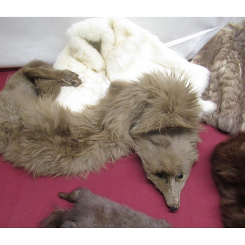 85 - Ann Widdecombe Collection - Collection of fur stoles inc. a fox and ferrets (8)