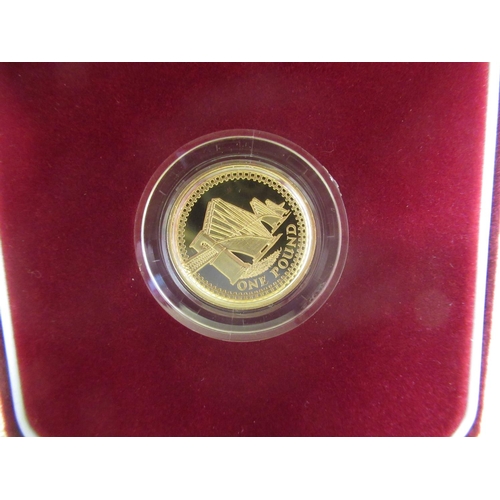 1030 - Royal Mint 2004 Gold Proof One Pound Coin, encapsulated, cased and boxed with cert. No.0103