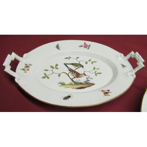 1143 - Pair of Berlin porcelain oval dishes, decorated to centre with exotic birds, floral sprig insect bor... 