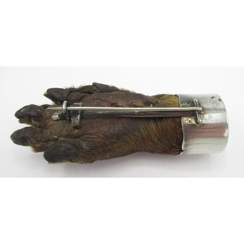 1037 - Early C20th unmarked white metal mounted Otter paw brooch, inscribed J.R 1913, L9cm