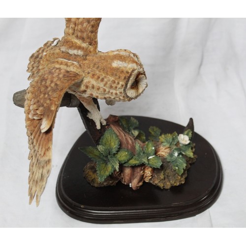 259 - Country Artists model 'Tawny Owl Landing' on shaped base, H28cm