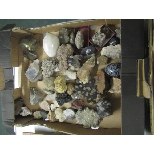 1126 - Large collection of Tree Agate, Chrysocolla, Quartz, Pyrite, Desert Rose, marble eggs, Quartz, Snowf... 