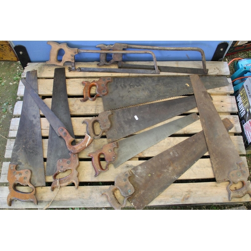 1258 - Collection of 10 handsaws