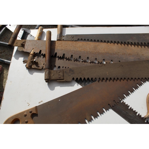 1259 - Collection of 9 forestry cross-cut saws