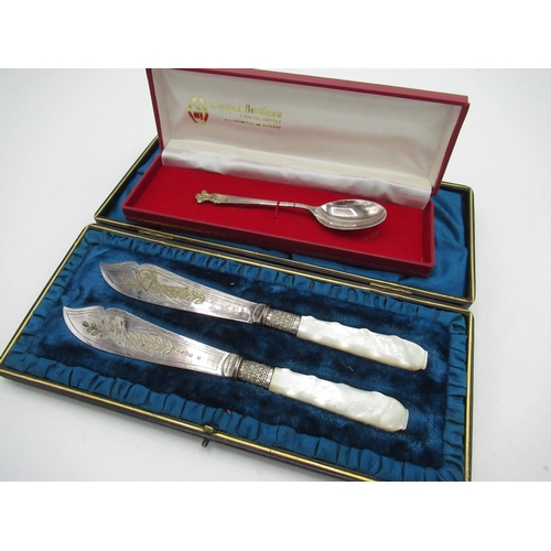 61 - ERII hallmarked sterling silver teaspoon with gilded Prince of Wales Feather terminal in fitted case... 