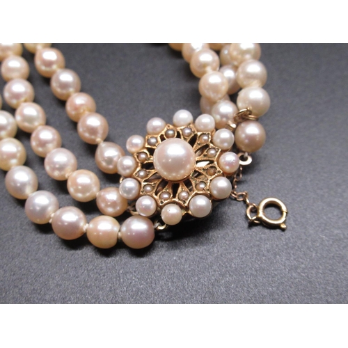 708 - Three strand cultured pearl necklace with floral style 9ct yellow gold hallmarked clasp set with see... 