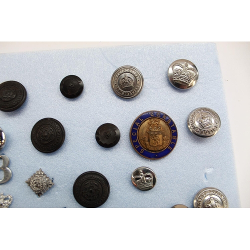 377 - Collection of British police insignia, cap badges, buttons etc. to include Cumberland and Westmorlan... 